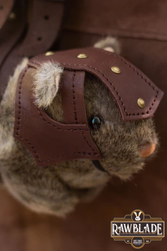 Battle Guinea Pig Louis