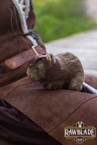 Battle Guinea Pig Louis