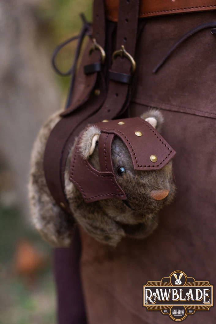 Battle Guinea Pig Louis